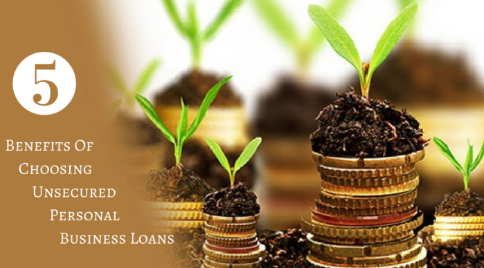 Unsecured Personal Business Loans